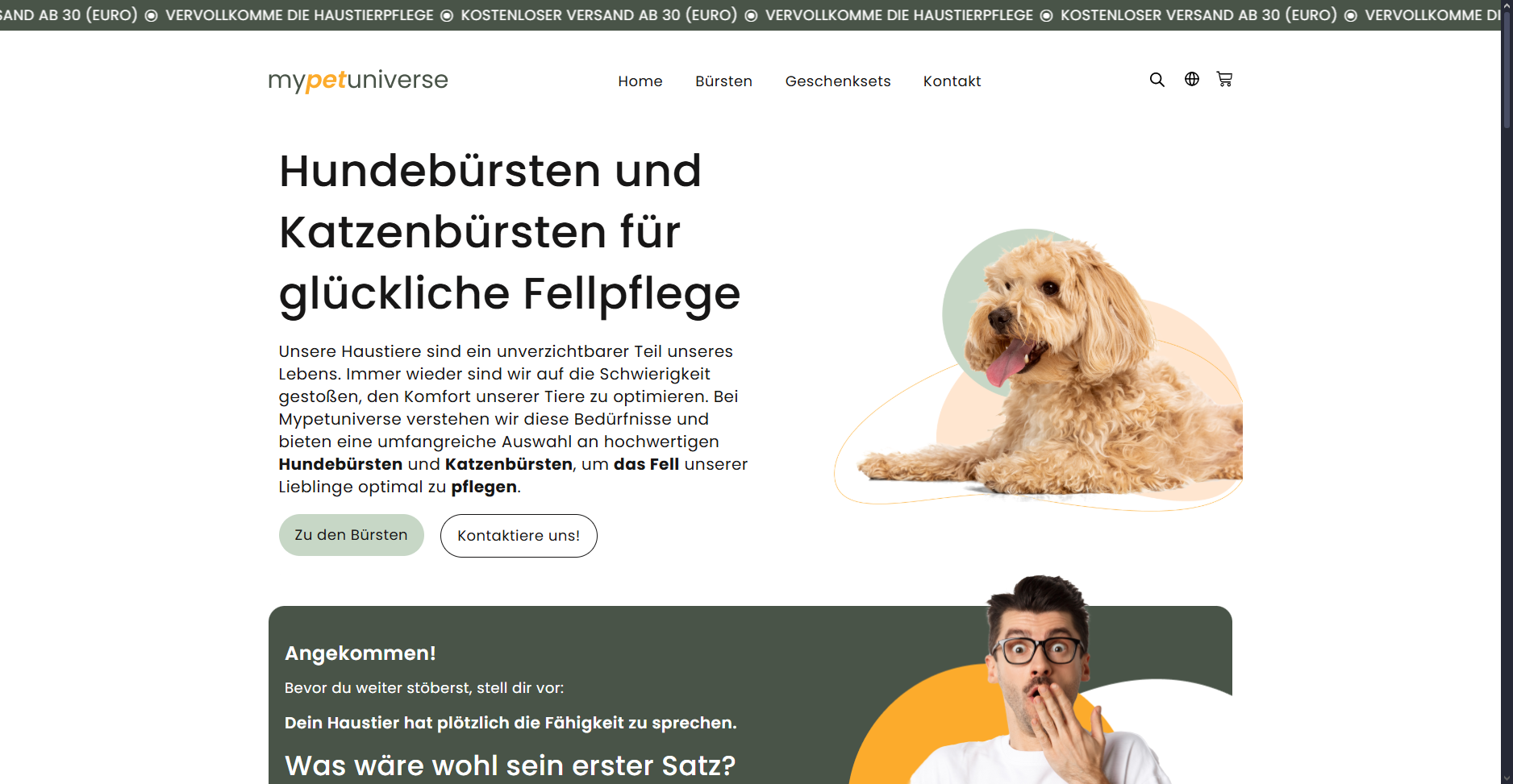 mypetuniverse MockUp